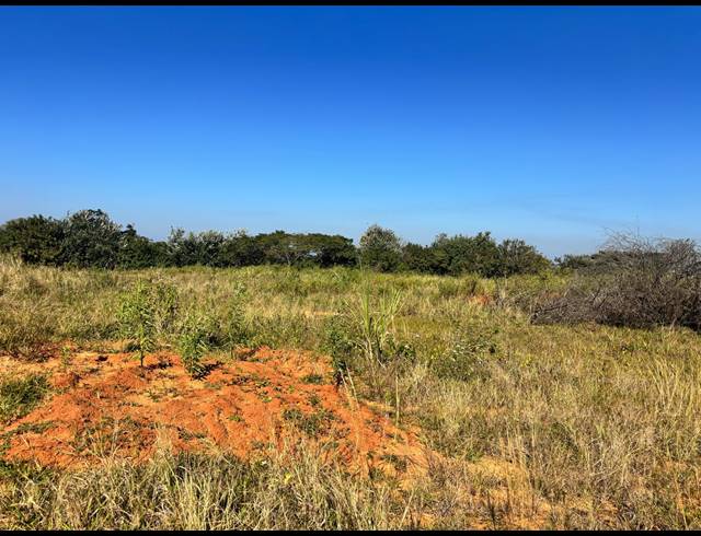 486M² VACANT LAND FOR SALE IN NEW SALT ROCK CITY